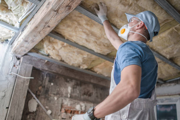 Best Spray Foam Insulation  in Waukegan, IL
