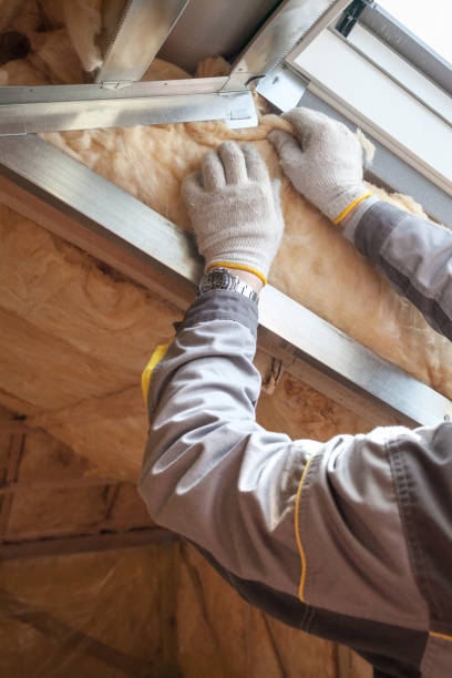Best Insulation Removal Services  in Waukegan, IL