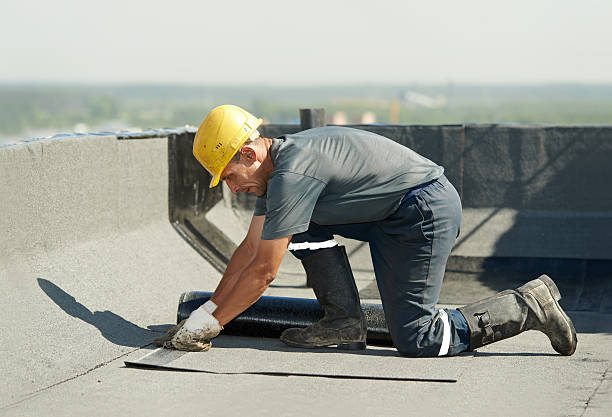 Best Professional Insulation Contractor  in Waukegan, IL