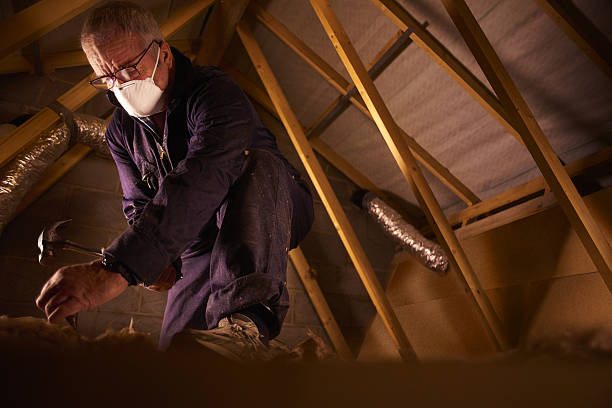 Best Crawl Space Insulation  in Waukegan, IL