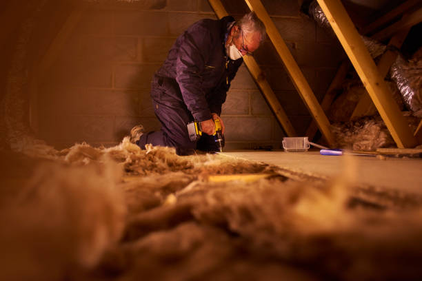 Best Insulation Replacement Services  in Waukegan, IL